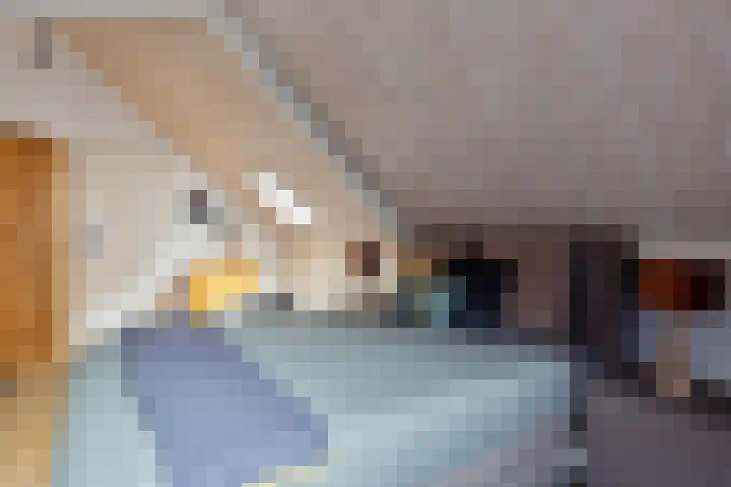 Polakkers 2 Buinen thumbnail 20