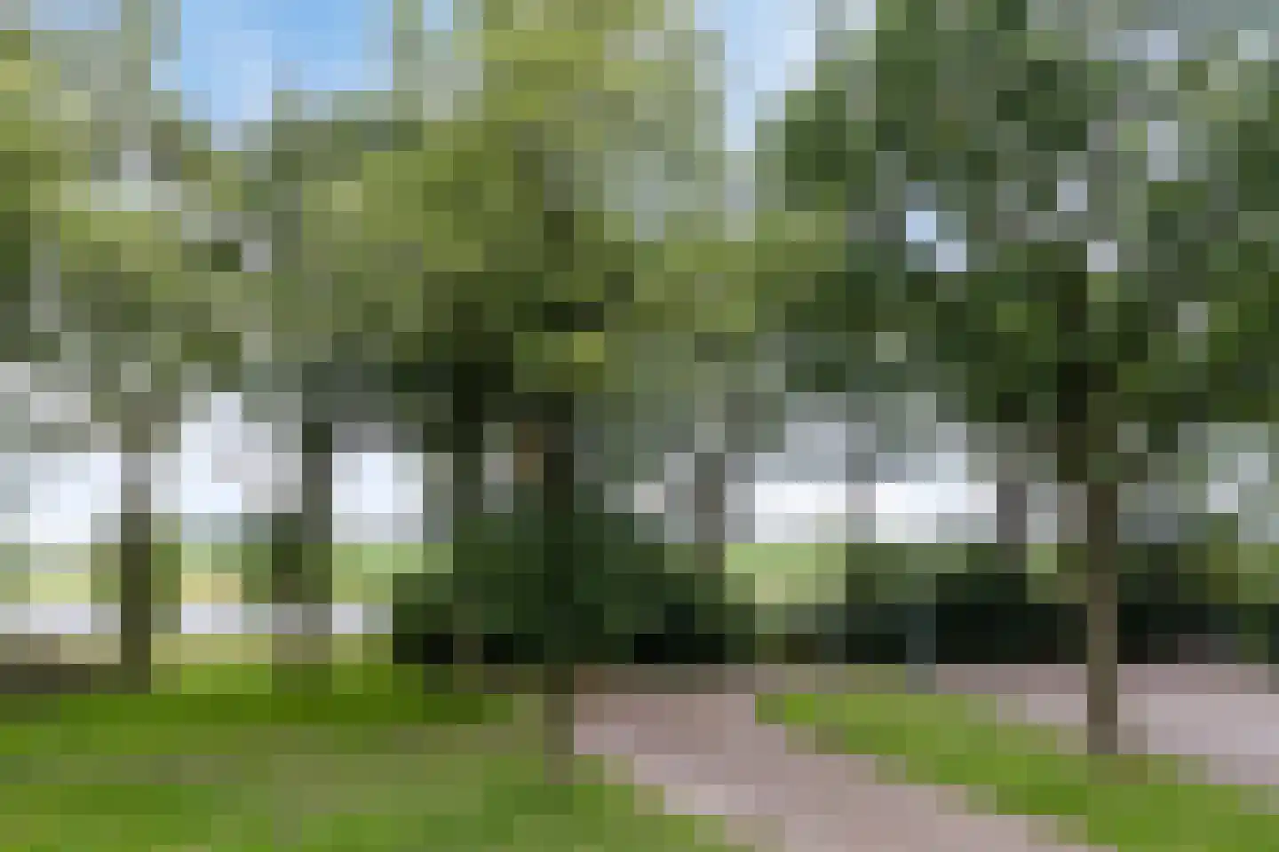 Polakkers 2 Buinen thumbnail 22