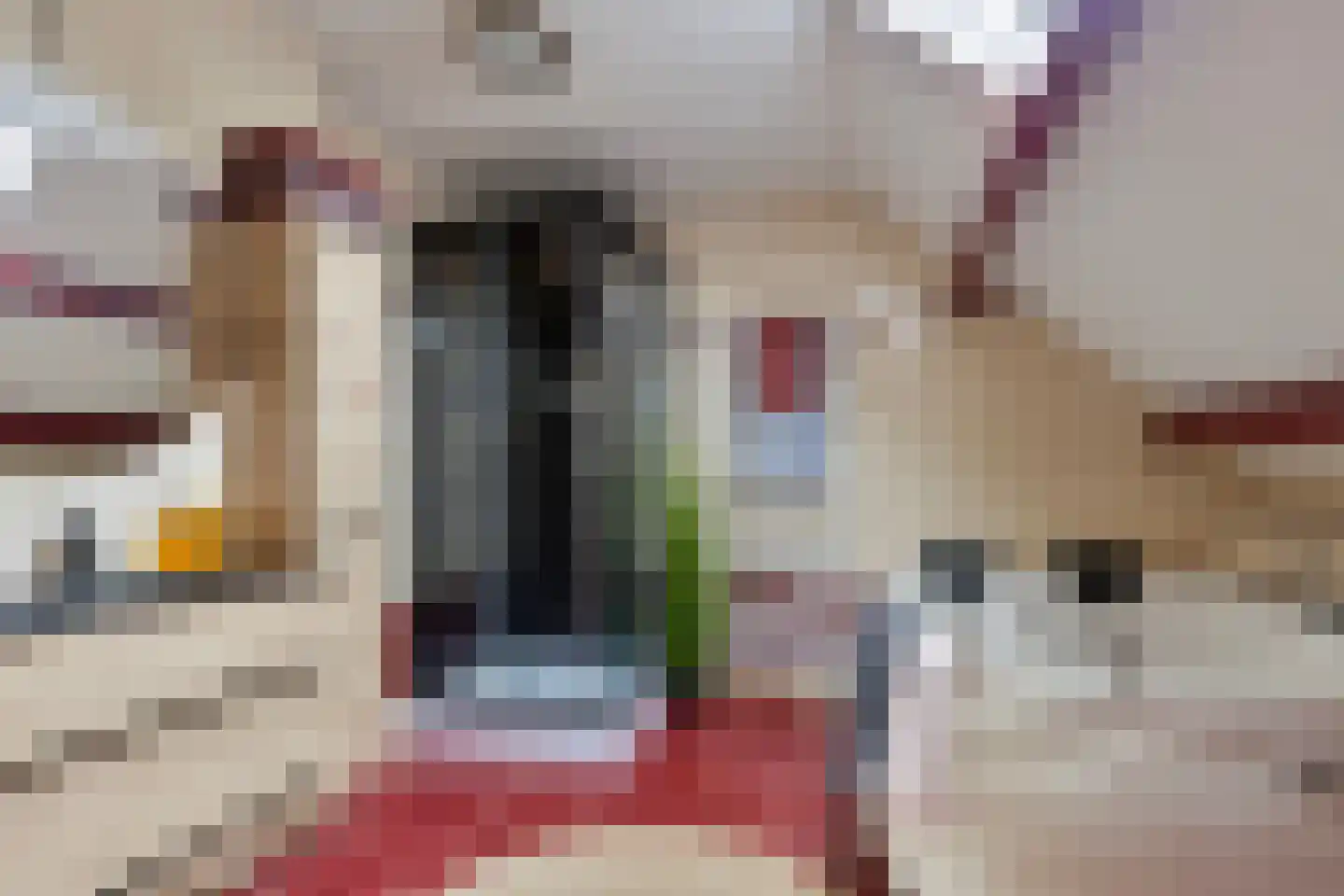 Polakkers 2 Buinen thumbnail 23