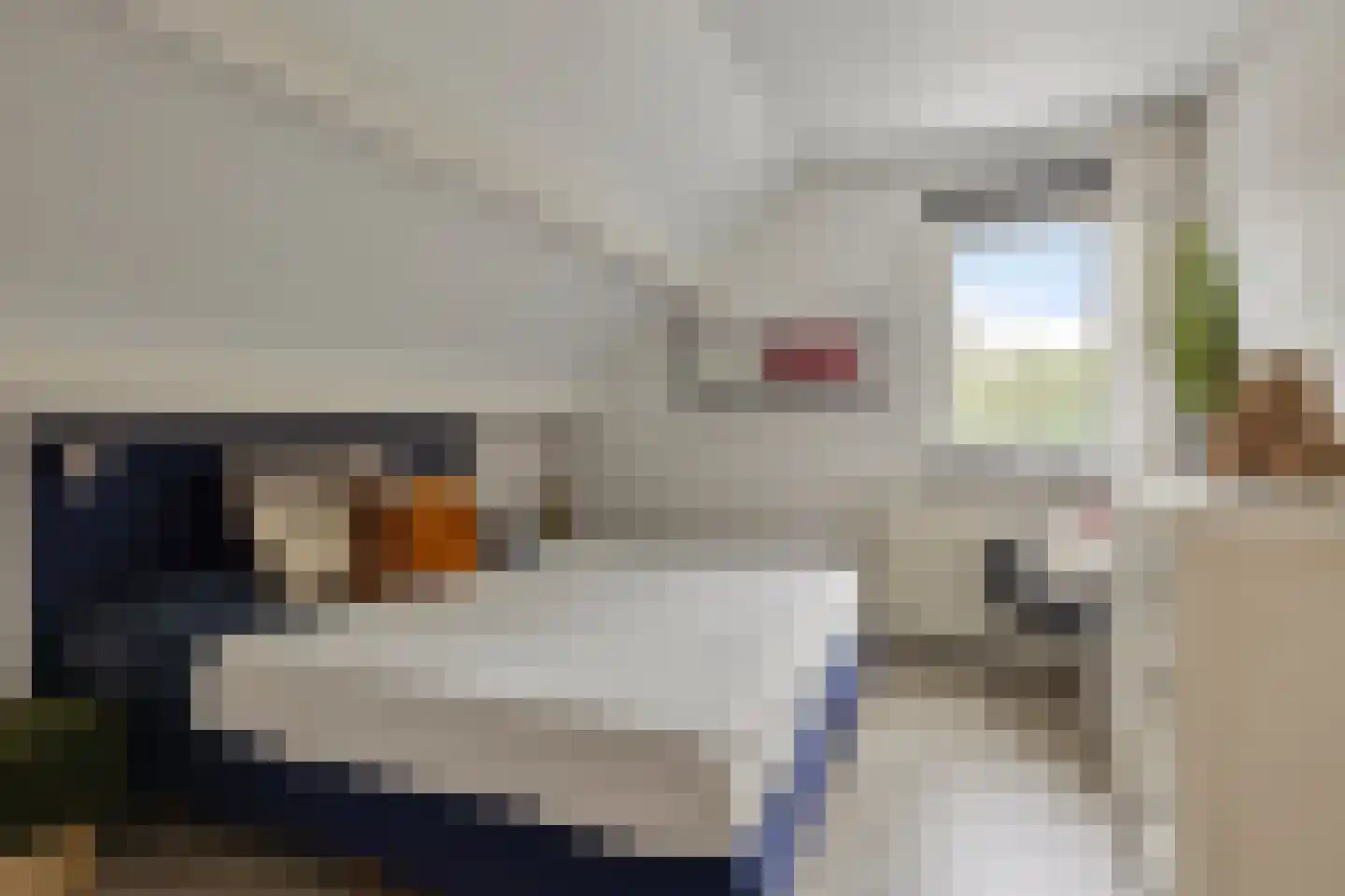 Polakkers 2 Buinen thumbnail 26