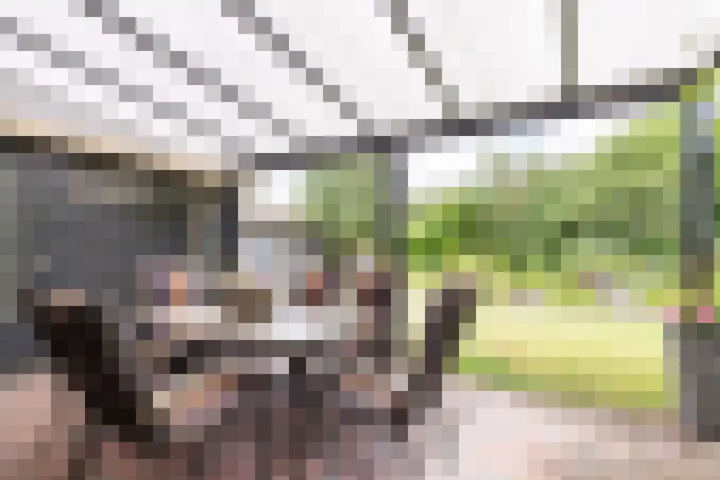 Polakkers 2 Buinen thumbnail 28