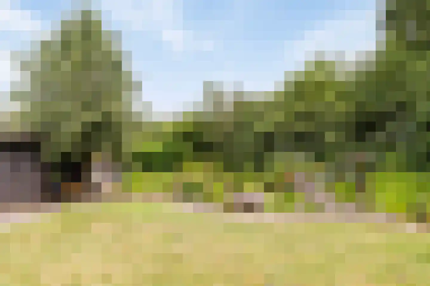Polakkers 2 Buinen thumbnail 29