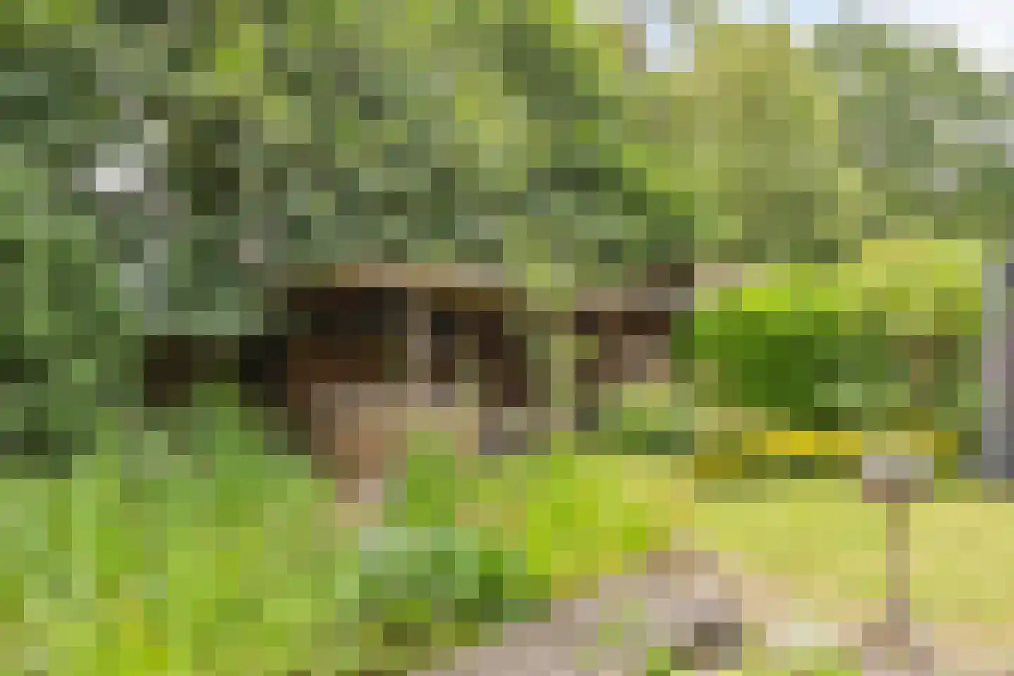 Polakkers 2 Buinen thumbnail 31