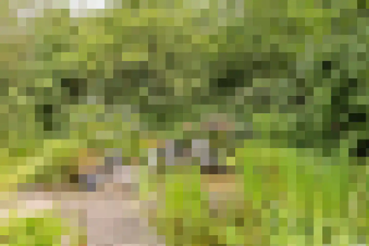 Polakkers 2 Buinen thumbnail 33