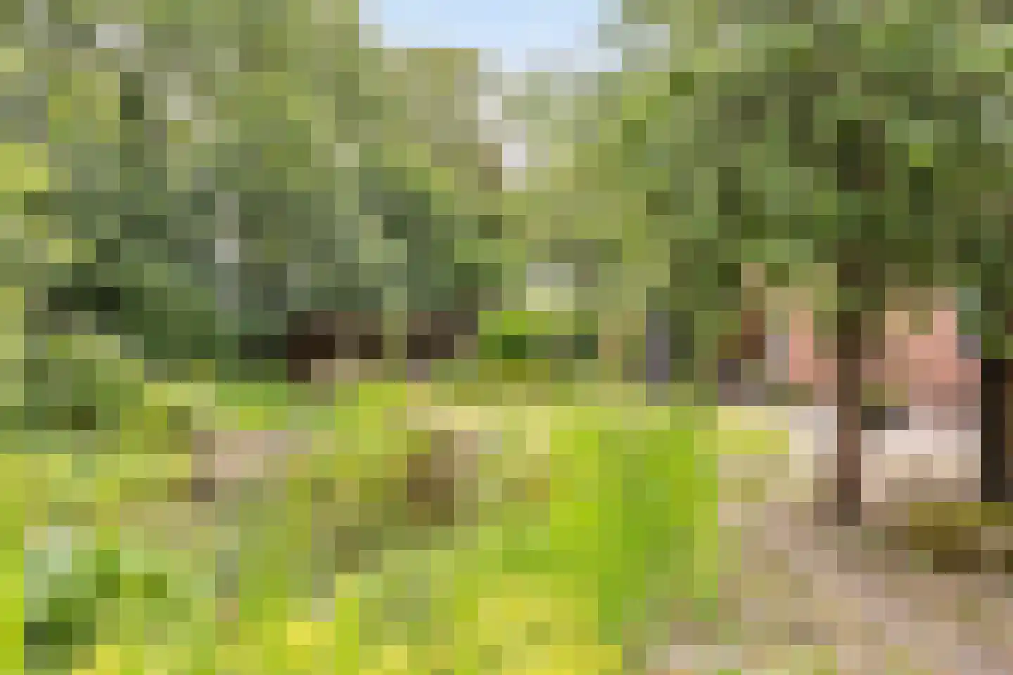 Polakkers 2 Buinen thumbnail 34