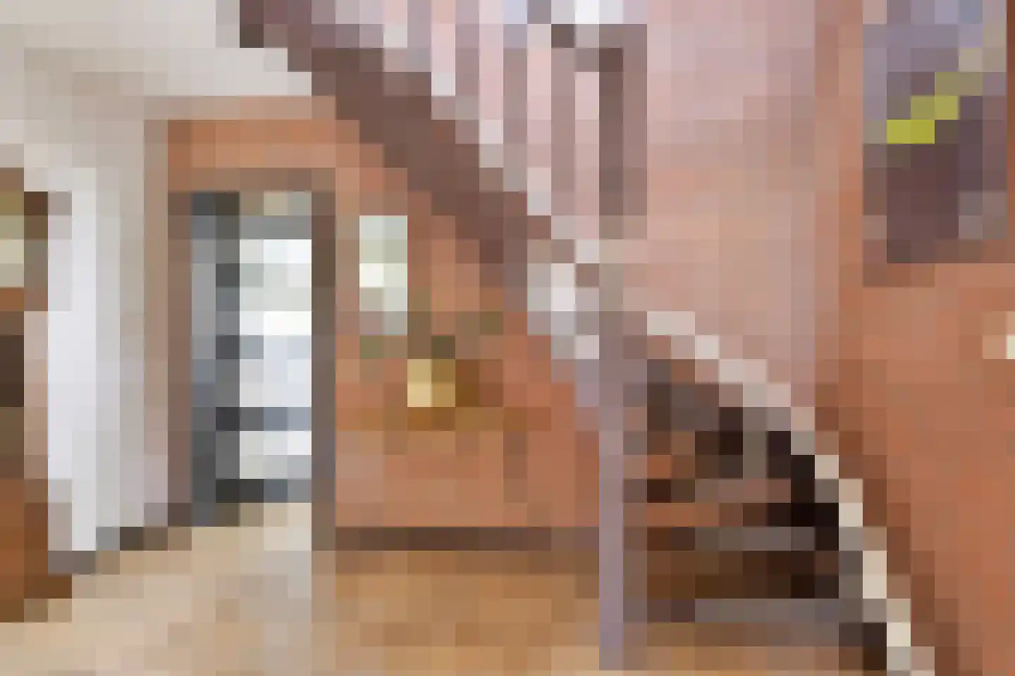 Polakkers 2 Buinen thumbnail 6