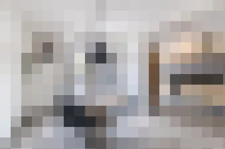 Polakkers 7 Buinen thumbnail 14