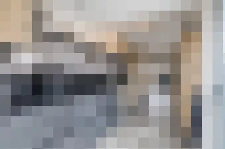 Polakkers 7 Buinen thumbnail 17