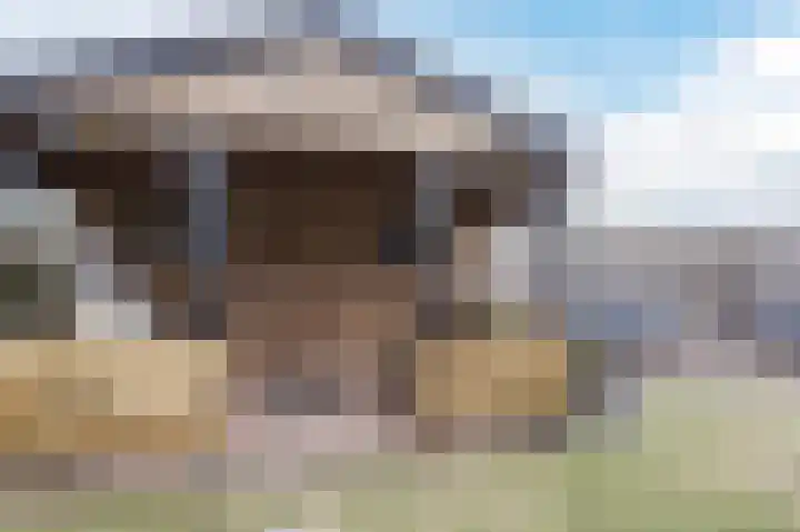 Polakkers 7 Buinen thumbnail 37