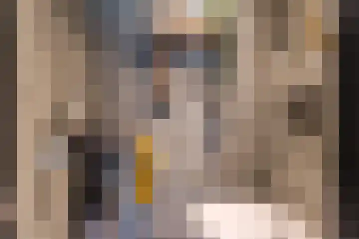 Polakkers 7 Buinen thumbnail 9