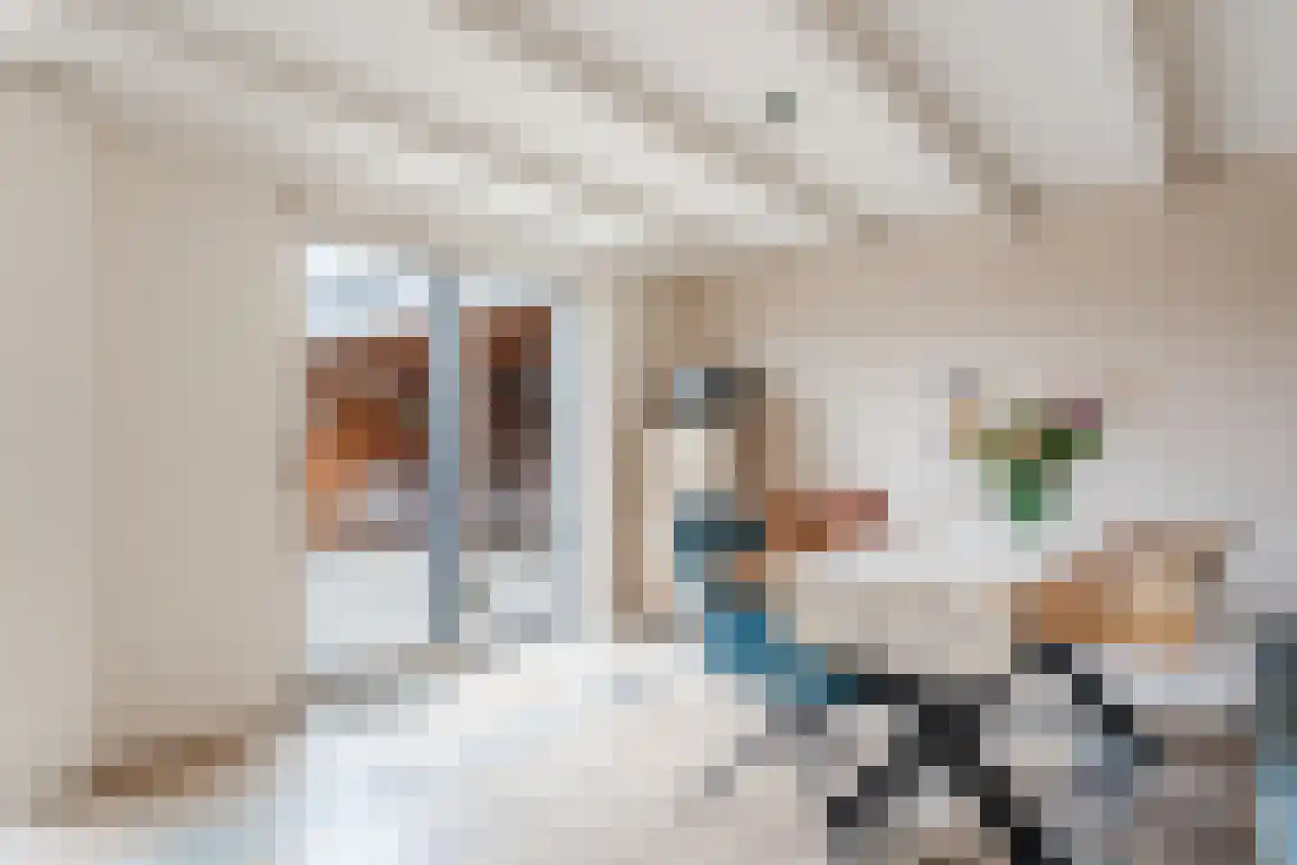 Polakkers 9 Buinen thumbnail 14