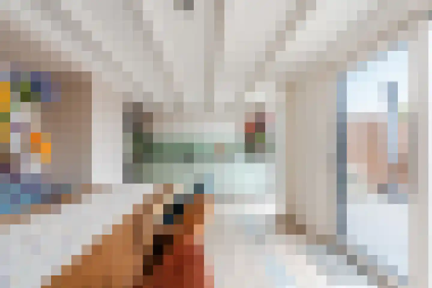 Polakkers 9 Buinen thumbnail 16