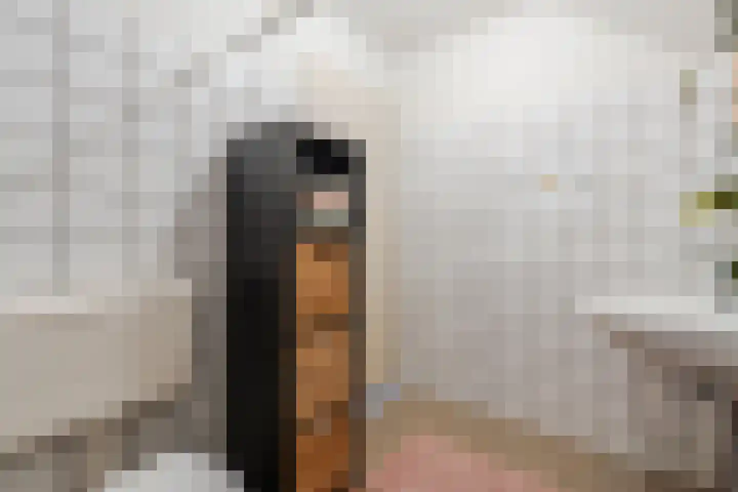 Polakkers 9 Buinen thumbnail 44