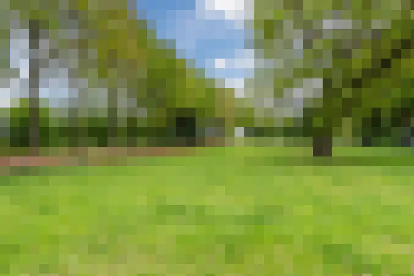 Polakkers 9 Buinen thumbnail 55