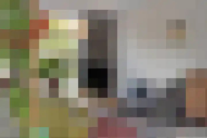 Polakstraat 11 Diepenheim thumbnail 6