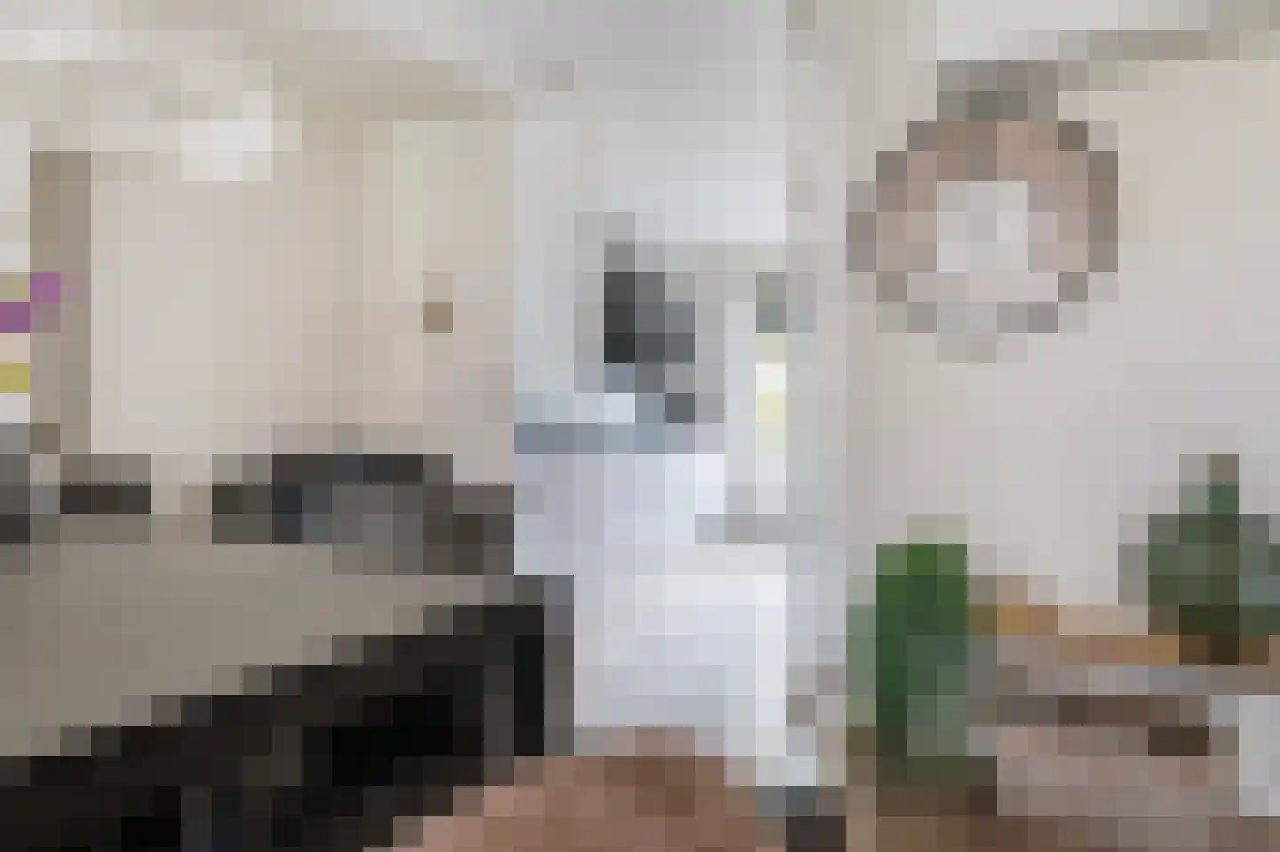 Polakstraat 5 Bathmen thumbnail 10