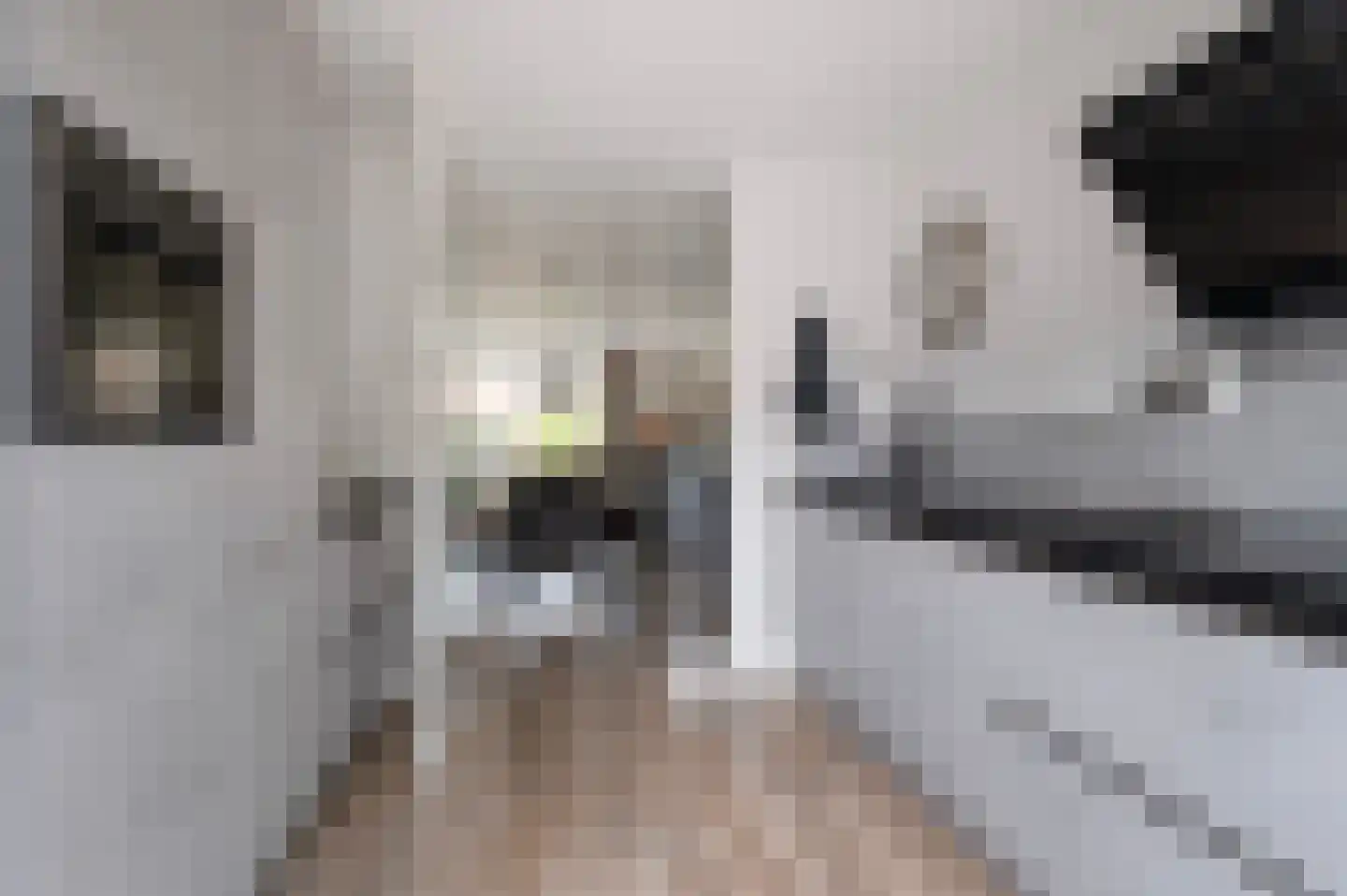 Polakstraat 5 Bathmen thumbnail 12