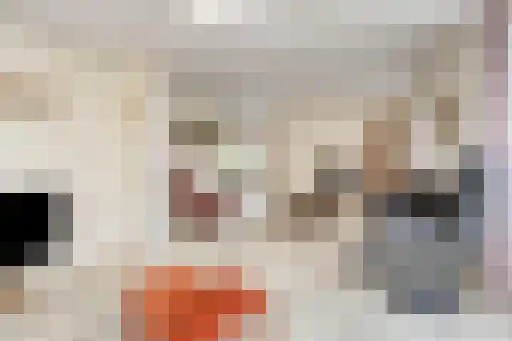 Polakstraat 61 Bathmen thumbnail 10