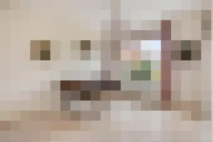 Polakstraat 61 Bathmen thumbnail 12