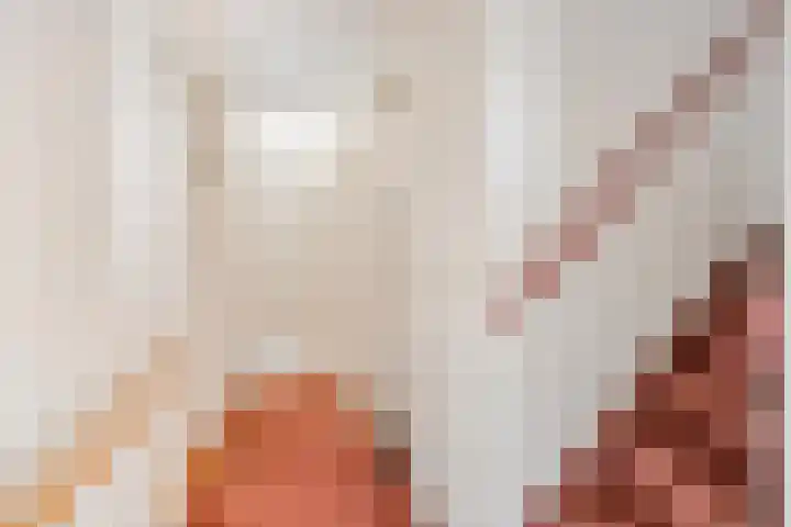 Polakstraat 61 Bathmen thumbnail 21