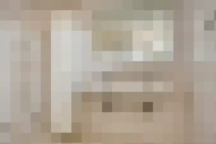 Polakstraat 61 Bathmen thumbnail 26