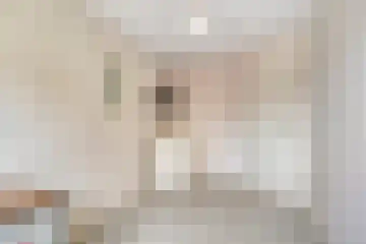 Polakstraat 61 Bathmen thumbnail 31
