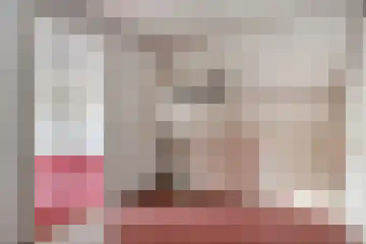 Polakstraat 61 Bathmen thumbnail 32
