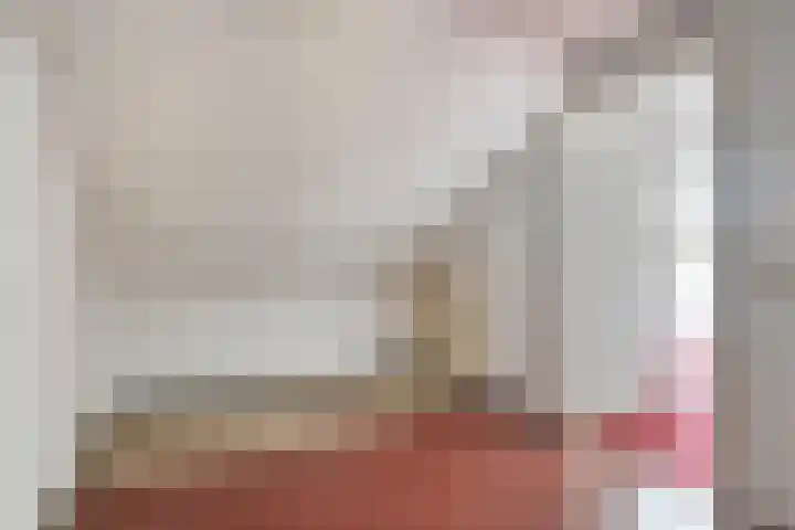 Polakstraat 61 Bathmen thumbnail 33