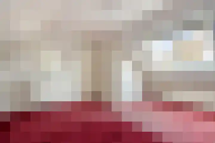 Polakstraat 61 Bathmen thumbnail 34