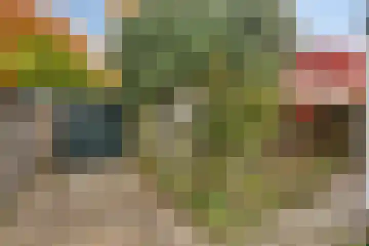 Polakstraat 61 Bathmen thumbnail 39