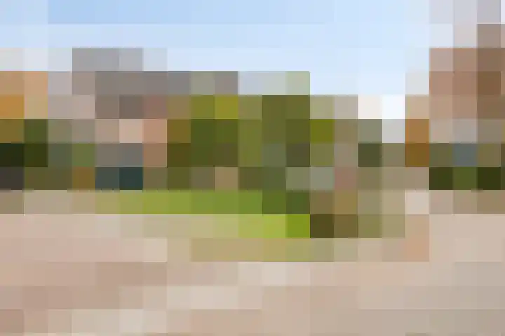 Polakstraat 61 Bathmen thumbnail 4