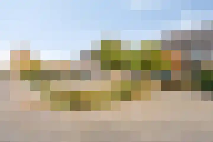 Polakstraat 61 Bathmen thumbnail 41