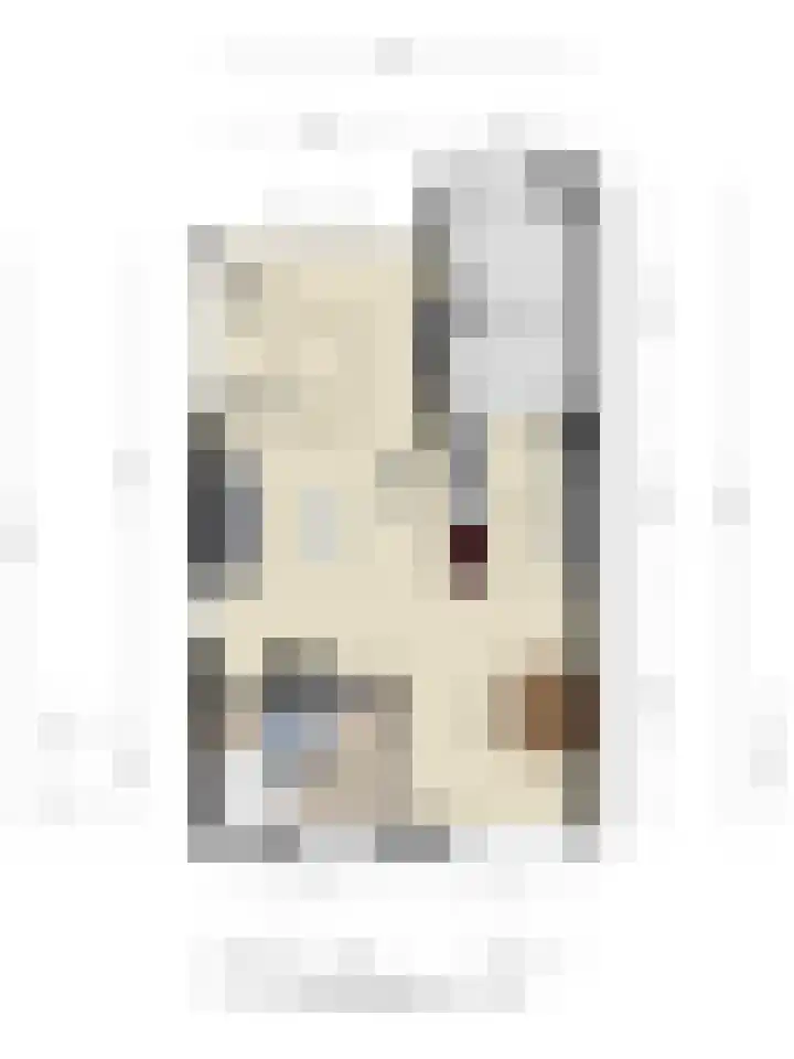 Polakstraat 61 Bathmen thumbnail 44