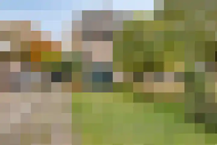 Polakstraat 61 Bathmen thumbnail 5