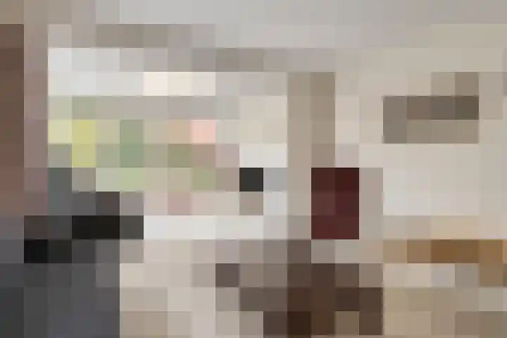 Polakstraat 61 Bathmen thumbnail 8
