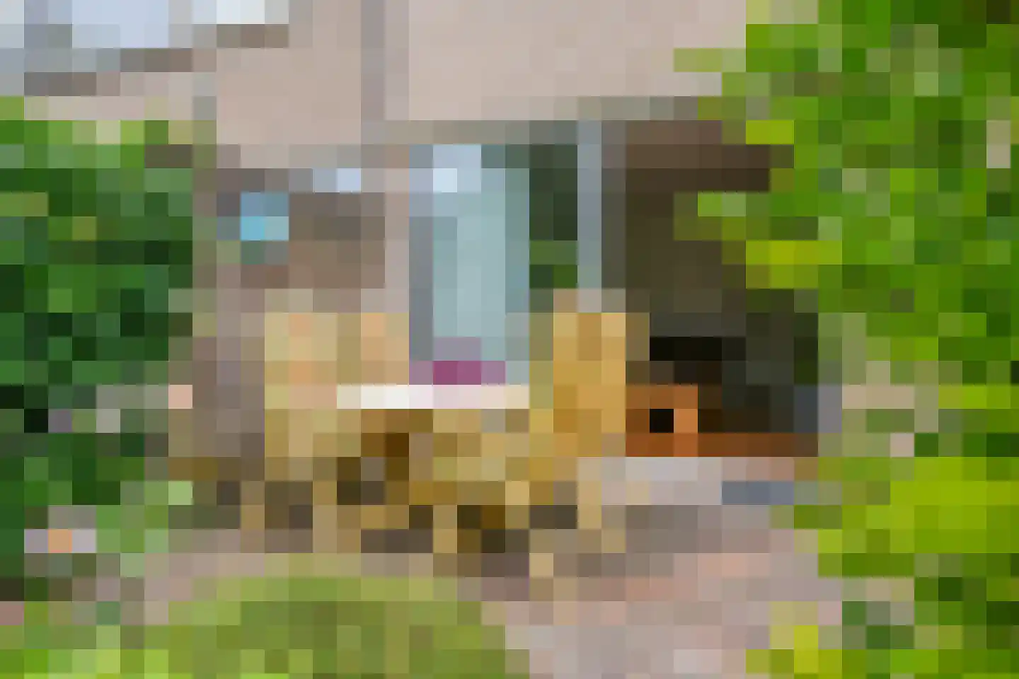 Polanen 25 Nieuw-Vennep thumbnail 16