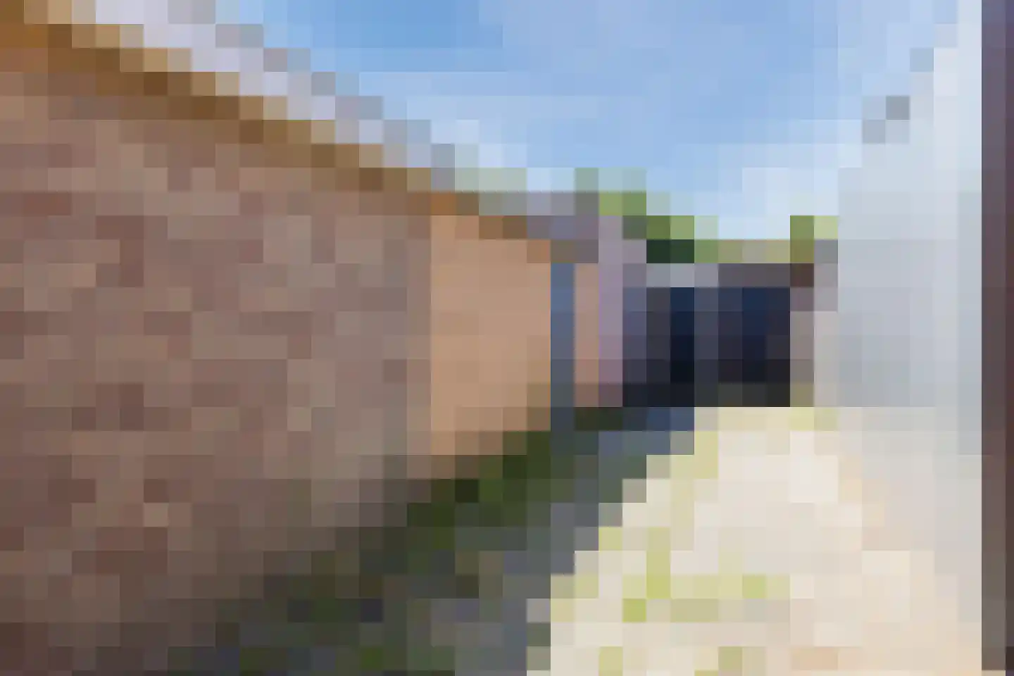 Polanenhof 15 Rijen thumbnail 33