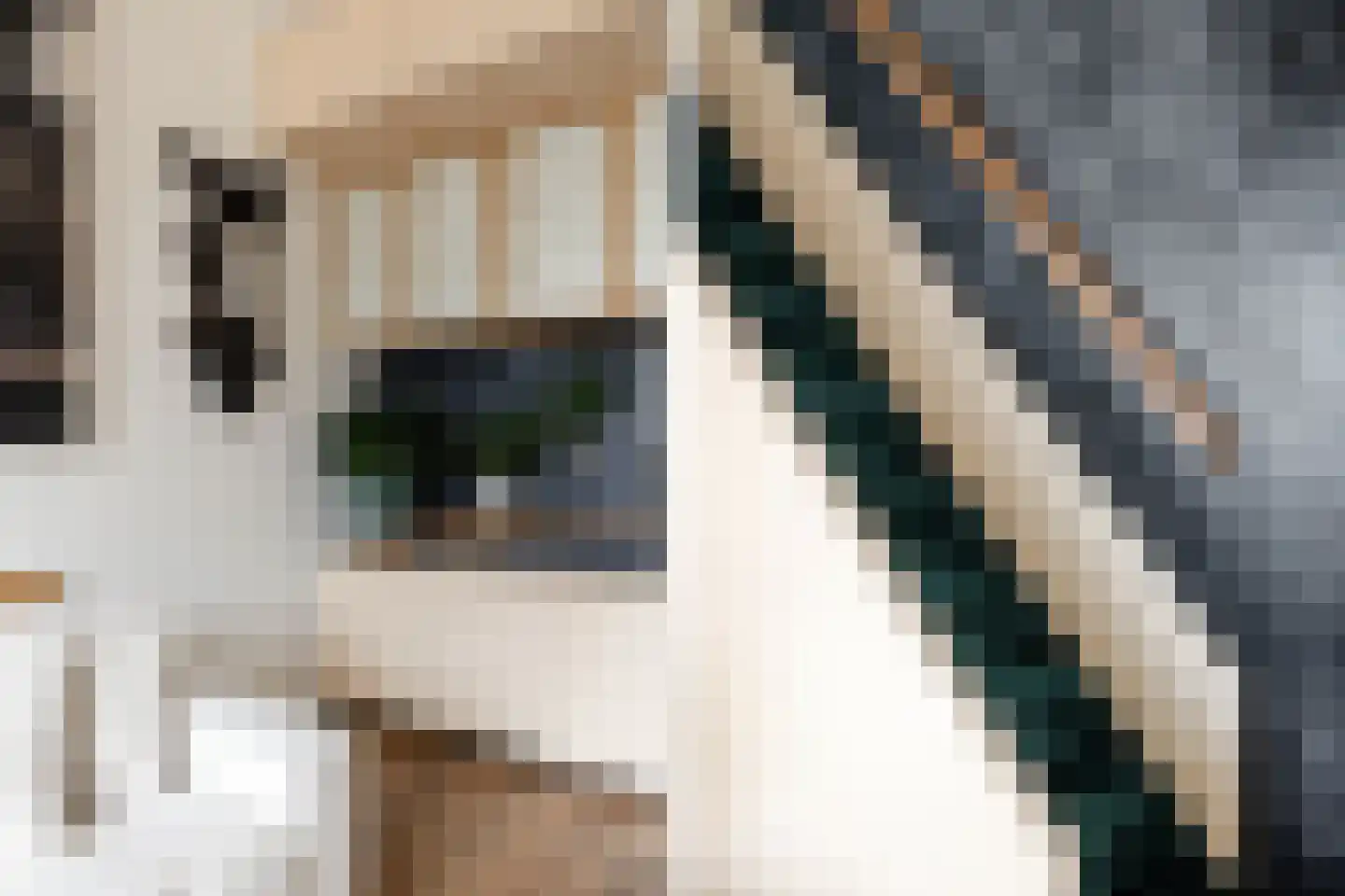 Polanenkade 3 Halfweg thumbnail 11