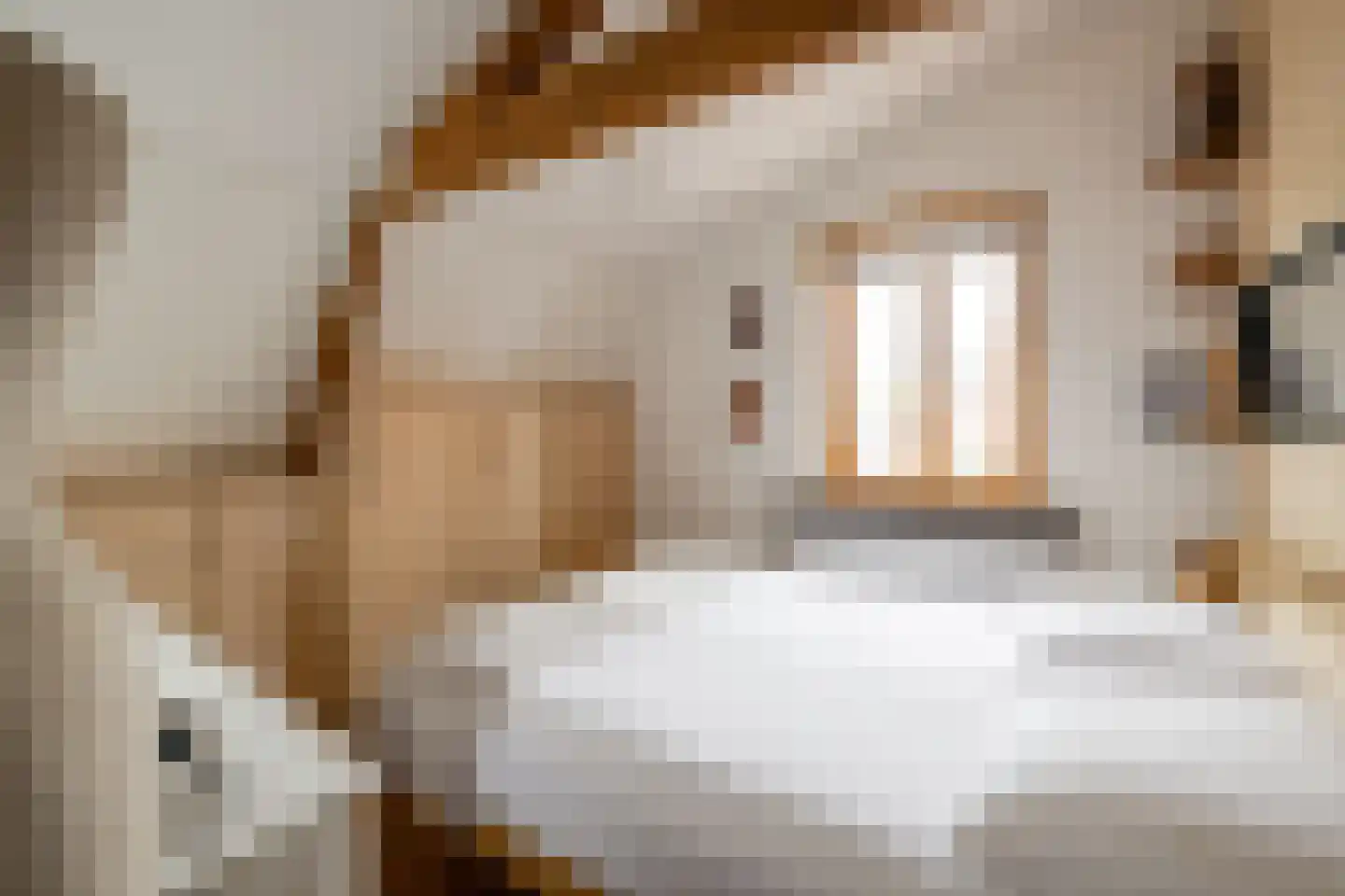 Polanenkade 3 Halfweg thumbnail 23