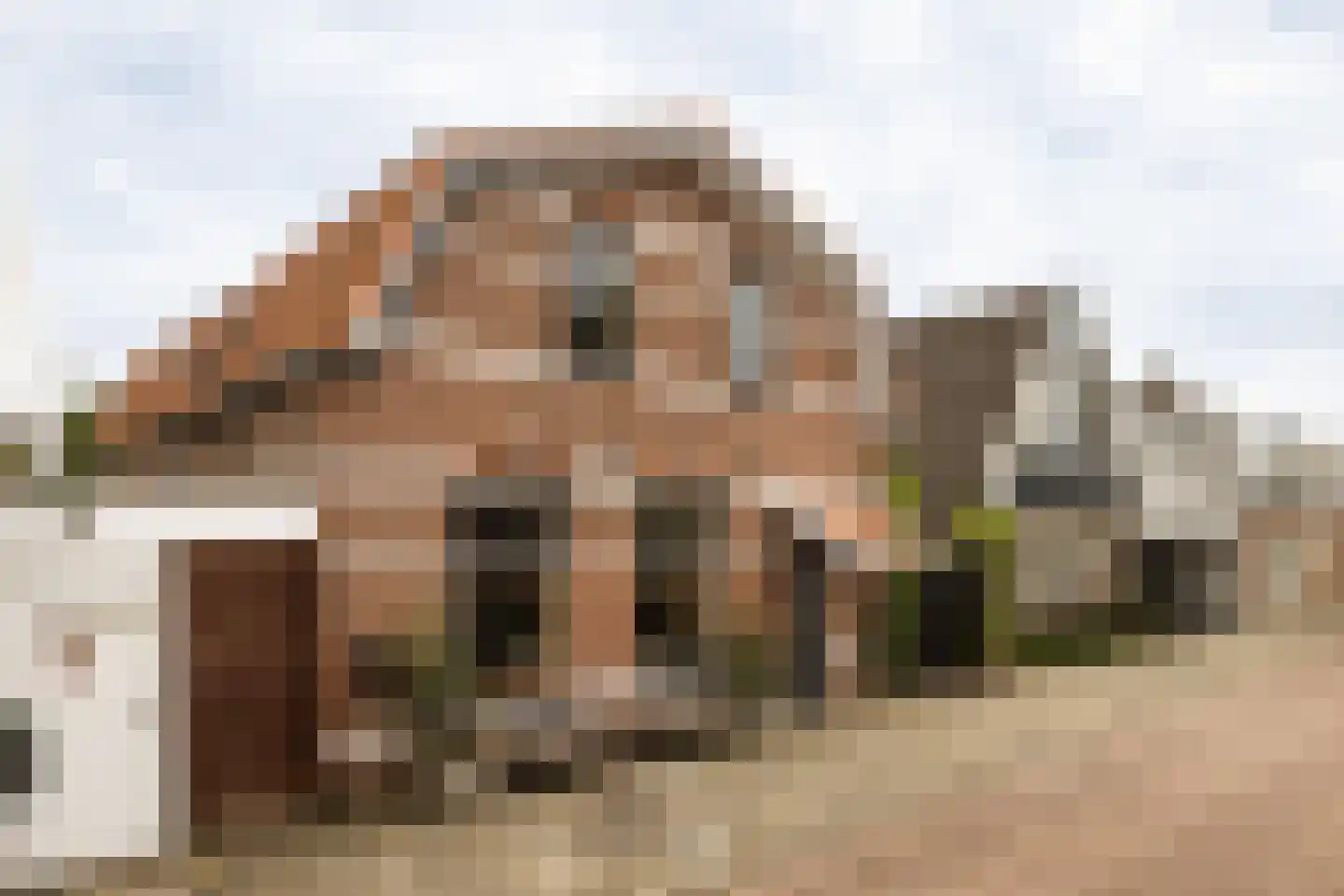 Polanenkade 3 Halfweg thumbnail 30
