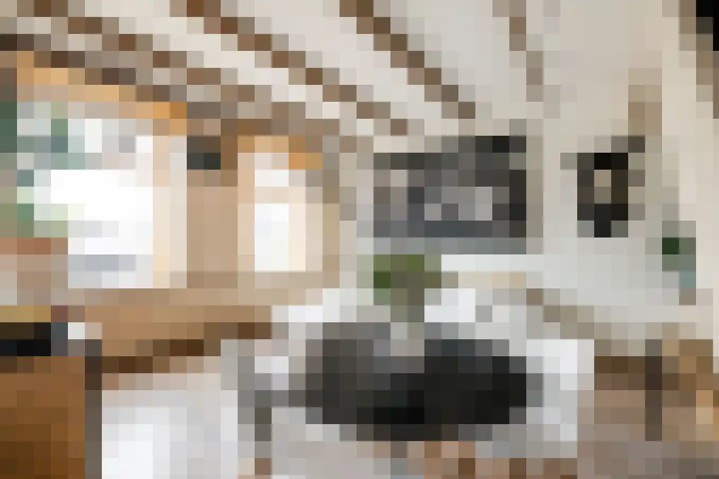 Polanenkade 3 Halfweg thumbnail 6