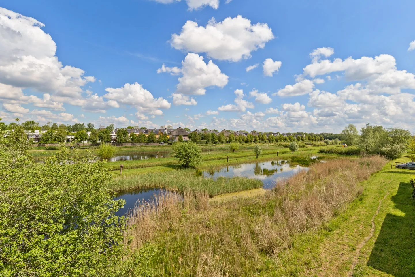 Polanenlaan 11 Roosendaal thumbnail 4