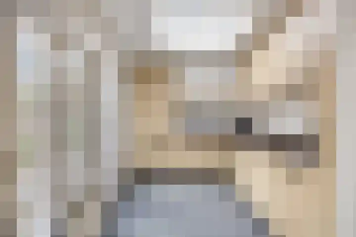 Polanenstraat 13 Alphen thumbnail 10