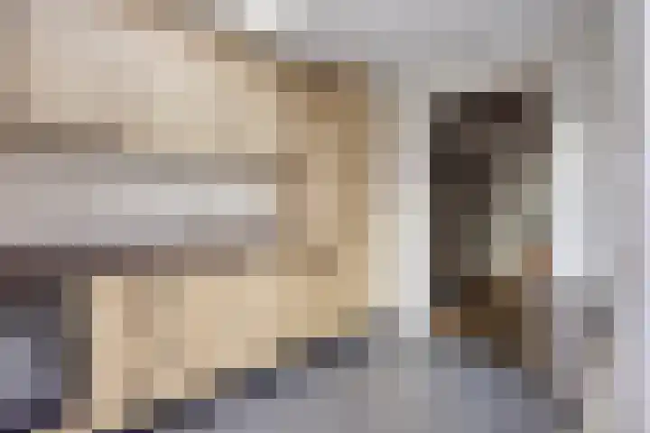 Polanenstraat 13 Alphen thumbnail 12
