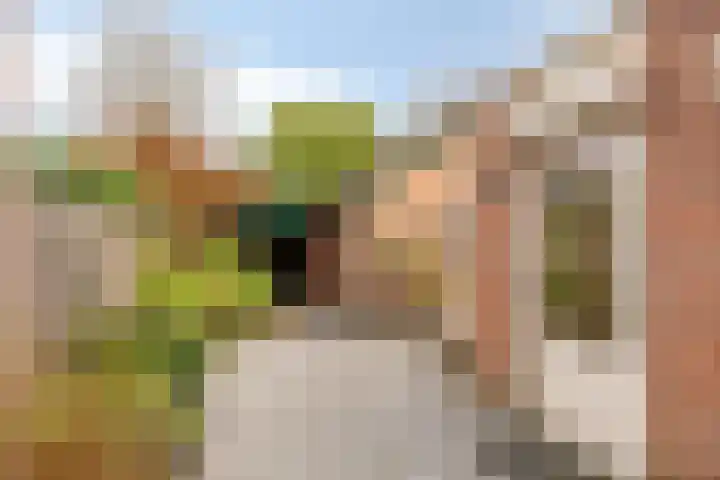 Polanenstraat 13 Alphen thumbnail 22