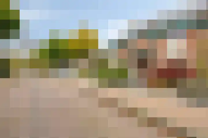 Polanenstraat 13 Alphen thumbnail 28
