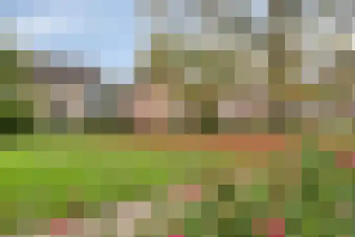 Polanenstraat 13 Alphen thumbnail 29