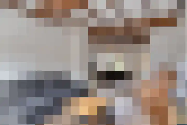 Polanenstraat 13 Alphen thumbnail 5