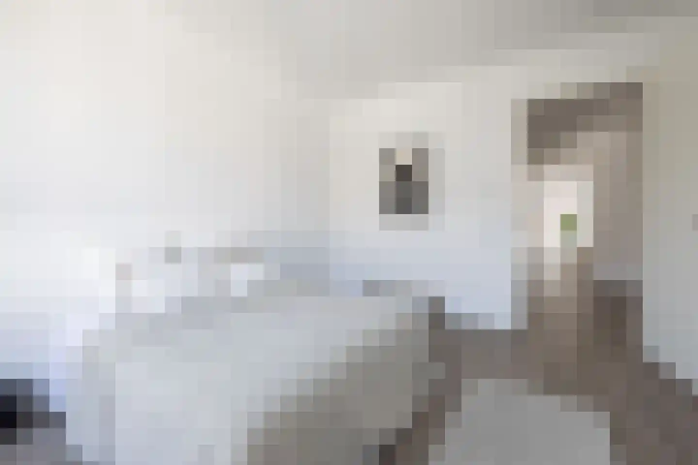 Polanenstraat 15 G Rotterdam thumbnail 13