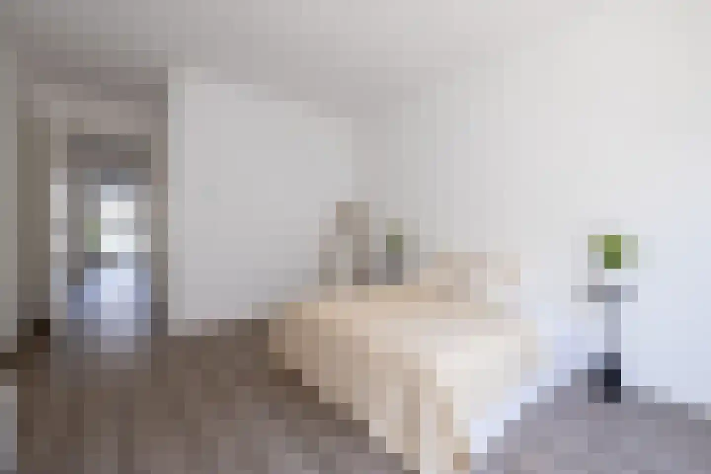 Polanenstraat 15 G Rotterdam thumbnail 15